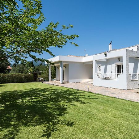 Villa Nefeli With Private Pool By Konnect Dassiá Eksteriør bilde